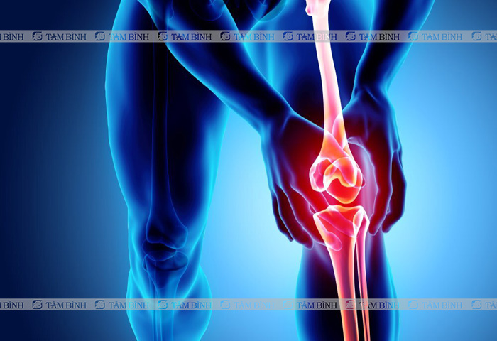 Thoái hóa khớp gối là gì
