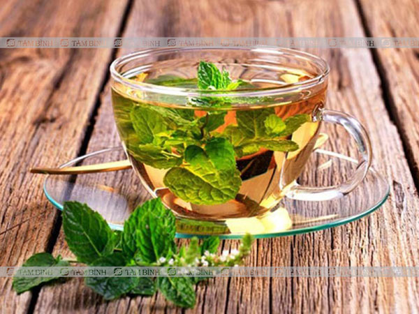 Bạn có thể chữa rối loạn tiêu hoá tại nhà bằng trà bạc hà