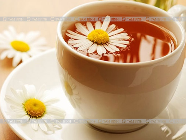 Trà hoa cúc giúp chống viêm, giảm đau cực hiệu quả