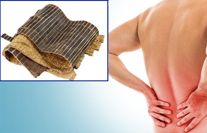 Bài thuốc từ đỗ trọng giúp giảm đau nhức xương khớp