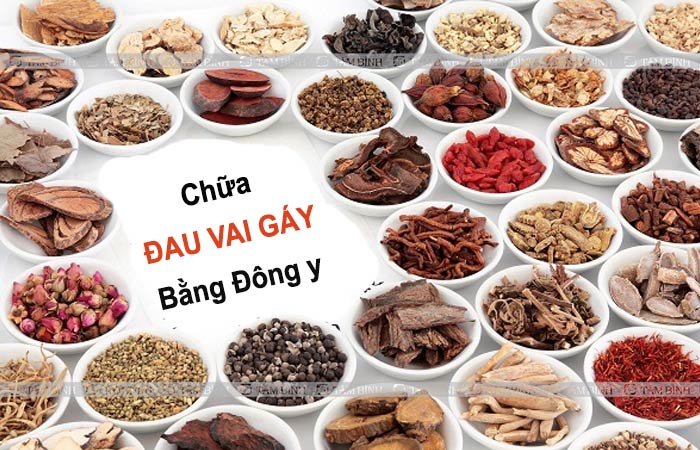 Trong Đông y có nhiều vị thuốc giảm đau vai gáy hiệu quả
