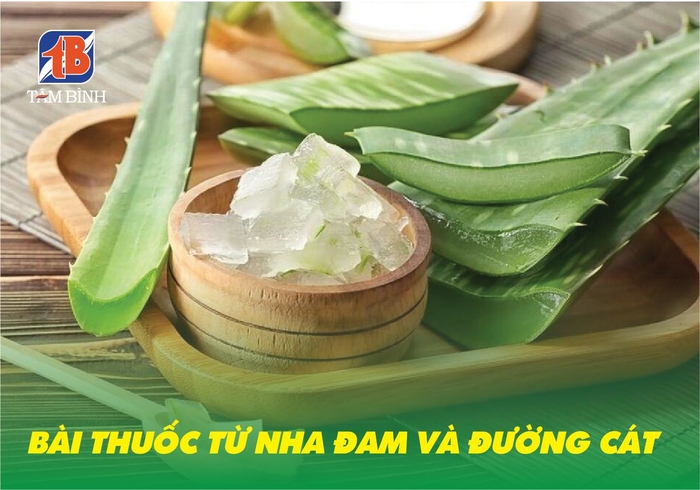 Bài thuốc chữa rối loạn tiêu hóa