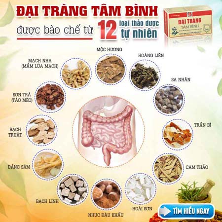 Đại tràng Tâm Bình