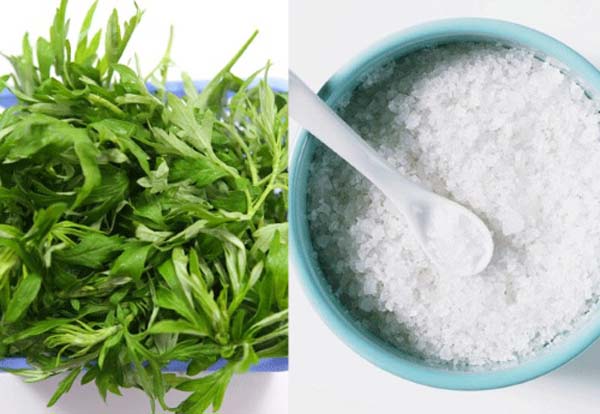 Đắp ngải cứu giúp máu lưu thông tốt