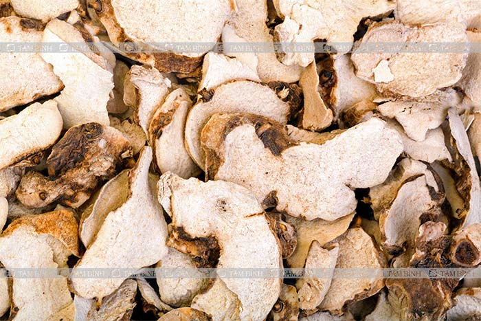 Bài thuốc điều trị xương khớp tốt nhất từ đương quy