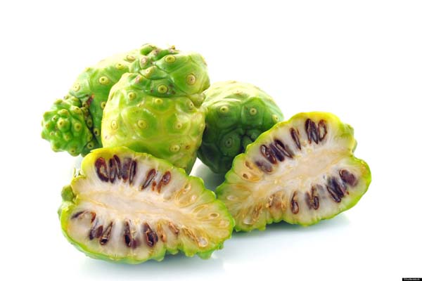 Cây nhàu giúp giảm sưng, đau hiệu quả