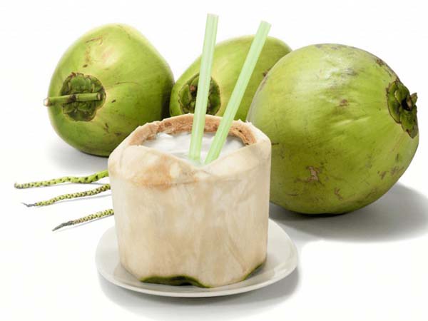Nước dừa cũng có tác dụng chữa bệnh gút khi kết hợp với lá trầu không.