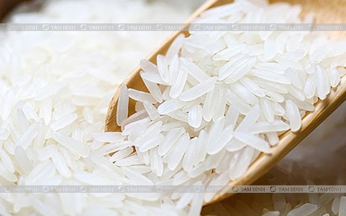 Trẻ rối loạn tiêu hóa nên ăn gạo trắng