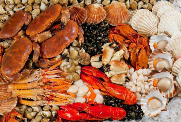 Người bệnh gút liệu có nên ăn nhiều hải sản