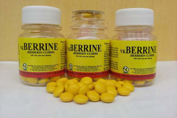 Berberin thường được dùng để điều trị các triệu chứng tiêu chảy, viêm đường ruột