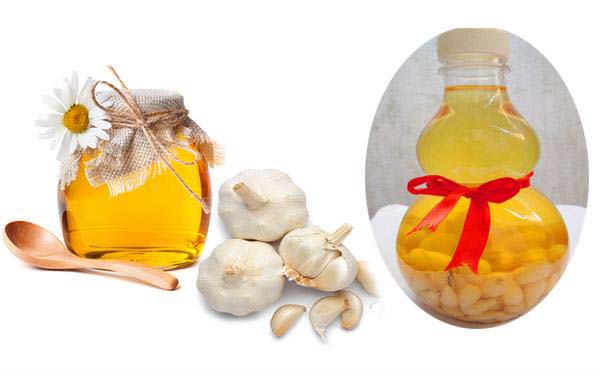 Bài thuốc từ rượu và tỏi trắng