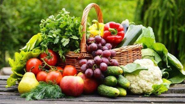 Người bệnh nên ăn nhiều hoa cả như: đu đủ, cam, xoài