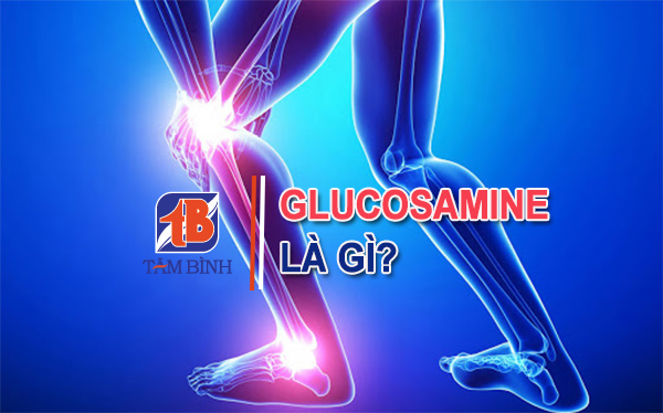 Glucosamine giúp hỗ trợ điều trị các bệnh về xương khớp