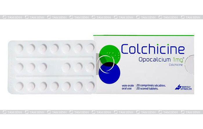 Thuốc Colchicine trị bệnh gout ở người trẻ