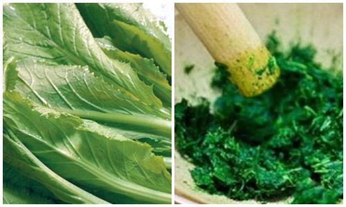 Bài thuốc này có tác dụng làm dịu nhanh những cơn đau nhức, giảm sưng do bệnh gout gây ra.