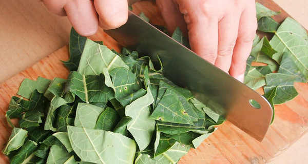Bài thuốc chữa đau khớp gối từ lá đu đủ và muối