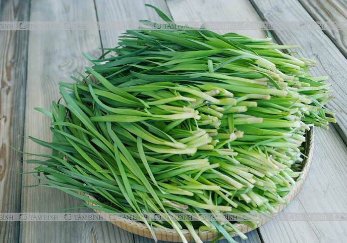 Chữa viêm cột sống dính khớp bằng lá hẹ