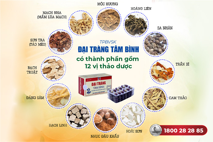 thành phần đại tràng tâm bình