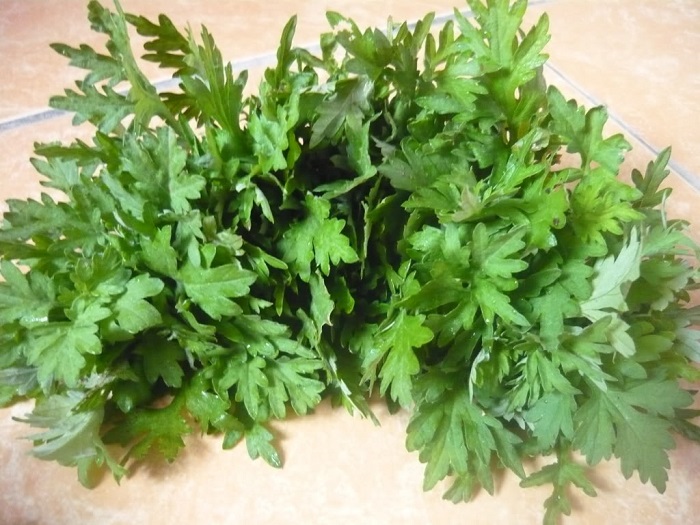 bài thuốc từ ngải cứu trị đau lưng
