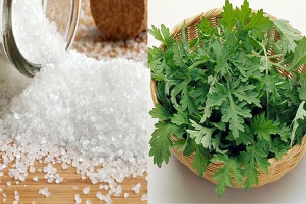 Cách trị gai cột sống từ ngải cứu