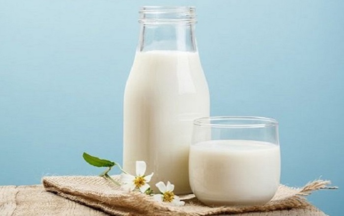 Người bị đau nhức xương khớp nên uống nhiều sữa