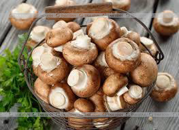 Thoái hóa khớp gối nên ăn nấm