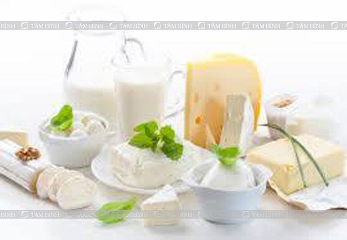 Sữa và các chế phẩm từ sữa