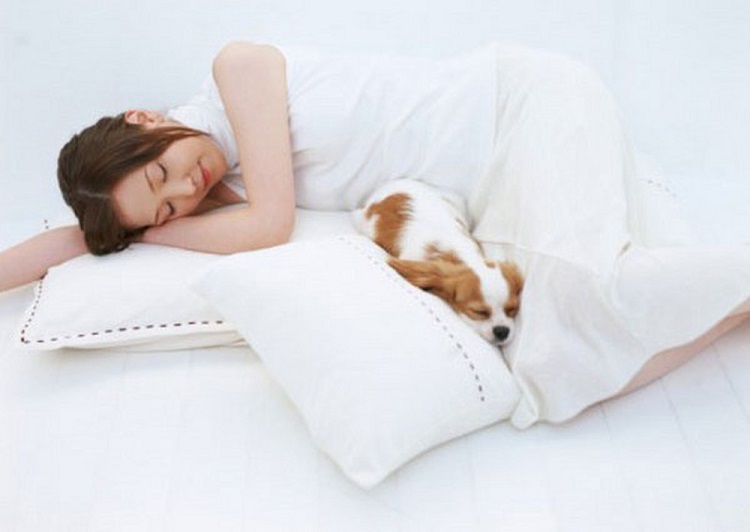 Gối ngủ cho người thoát vị đĩa đệm