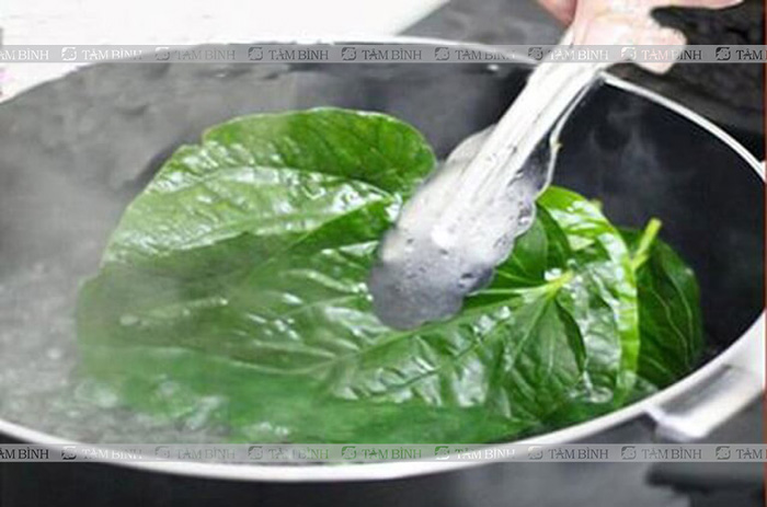 Bài thuốc chữa tê bàn tay bằng lá lốt