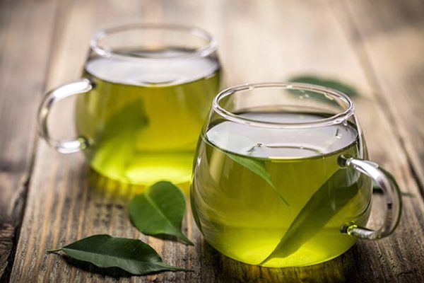 Bài thuốc chữa gút từ lá vối