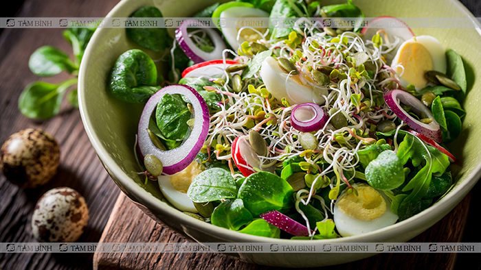 Salad rau củ tốt cho người bệnh gout