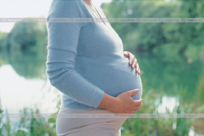 Phụ nữ mang thai không nên chữa bệnh gout bằng cua đồng