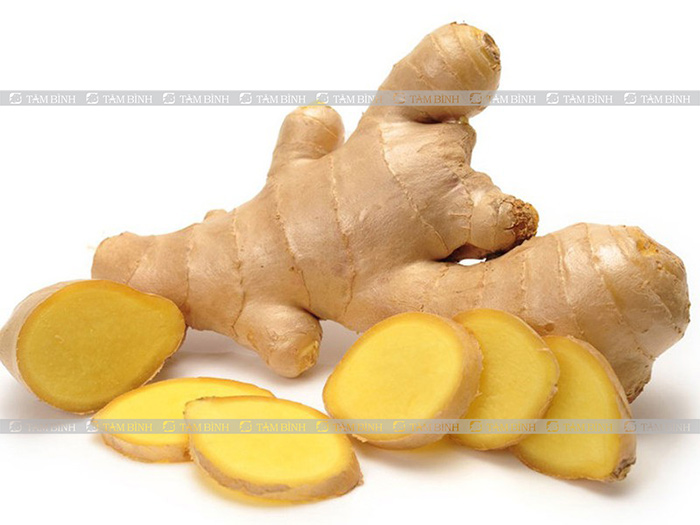 Gừng