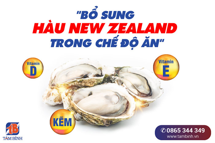 bổ sung hàu New Zealand trong chế độ ăn