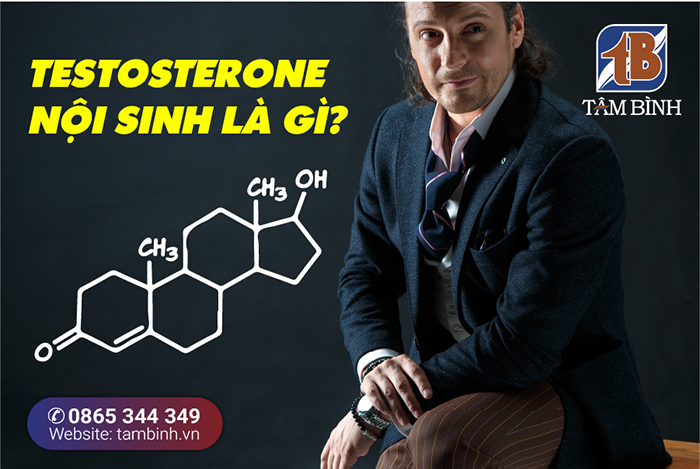 testosterone nội sinh là gì? 
