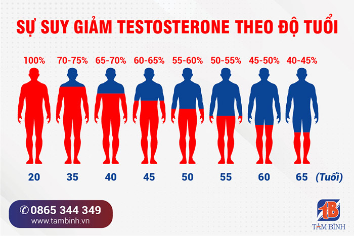 suy giảm testosterone theo độ tuổi gây mãn dục nam