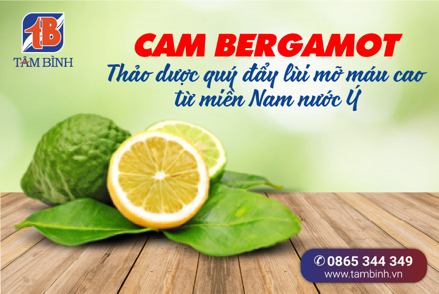 Tinh dầu Cam Hương nguyên chất - Bergamot Essential Oil