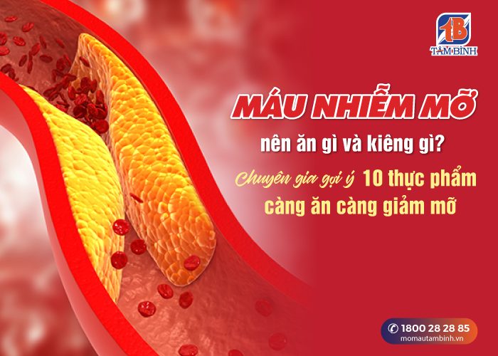 Máu nhiễm mỡ nên ăn gì, kiêng gì