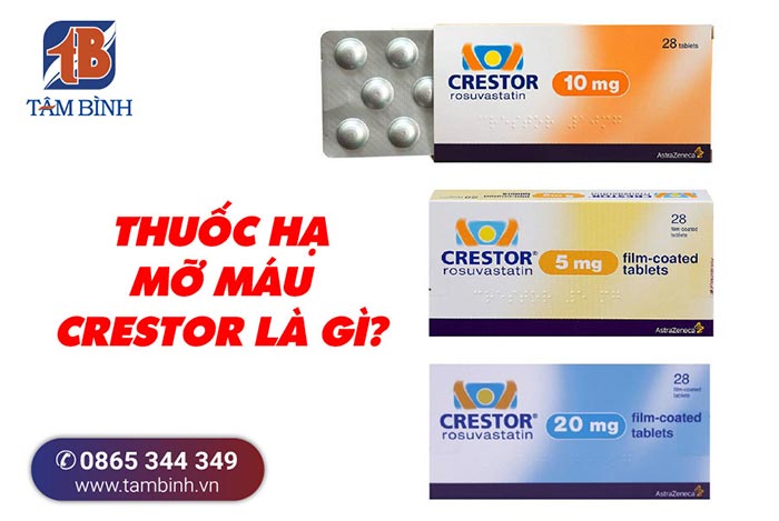 Thuốc Mỡ Máu Crestor: Giải Pháp Hiệu Quả Cho Việc Kiểm Soát Mỡ Máu