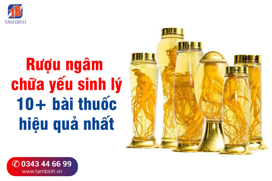 Giải pháp rượu thuốc chữa yếu sinh lý hiệu quả cho nam giới