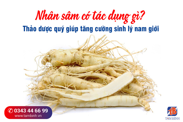 Đánh giá nhân sâm hàn quốc có tác dụng gì đối với sức khỏe và cách sử dụng