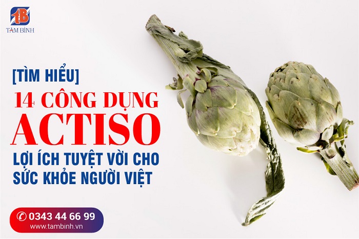 Công dụng actiso