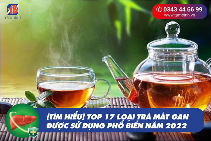 [Tìm hiểu] top 17 loại trà mát gan được sử dụng phổ biến năm 2022