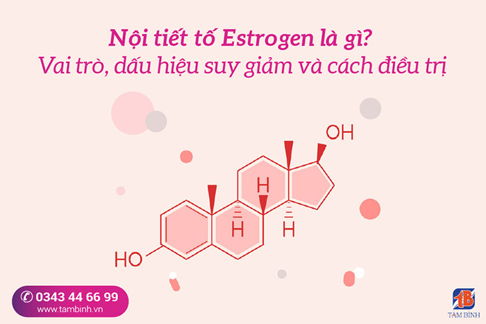 Nội tiết tố Estrogen