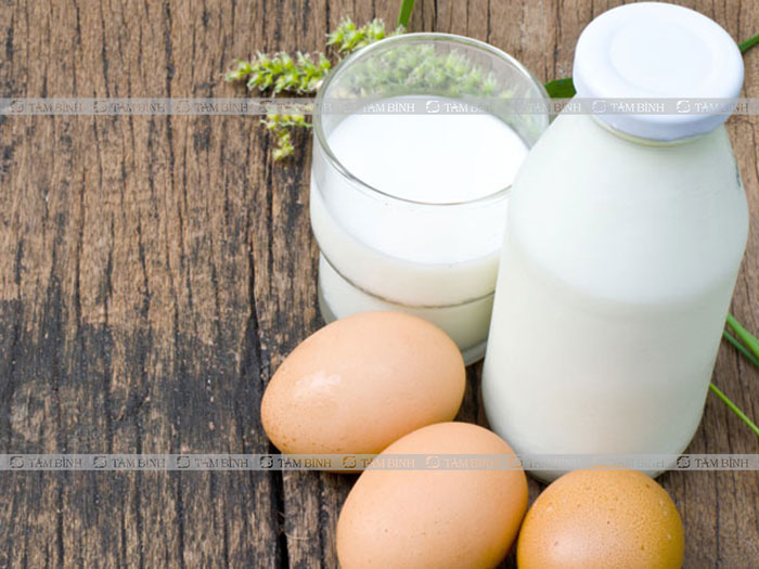 trứng và sữa kích thích tổng hợp nội tiết tố