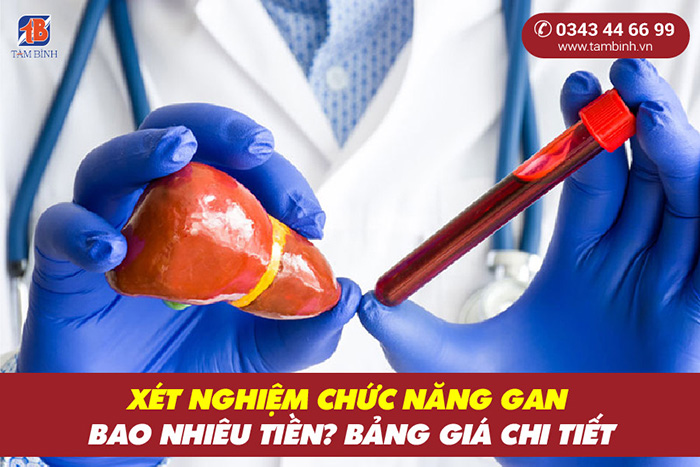 Chức năng gan là gì và tại sao cần phải kiểm tra chức năng gan?
