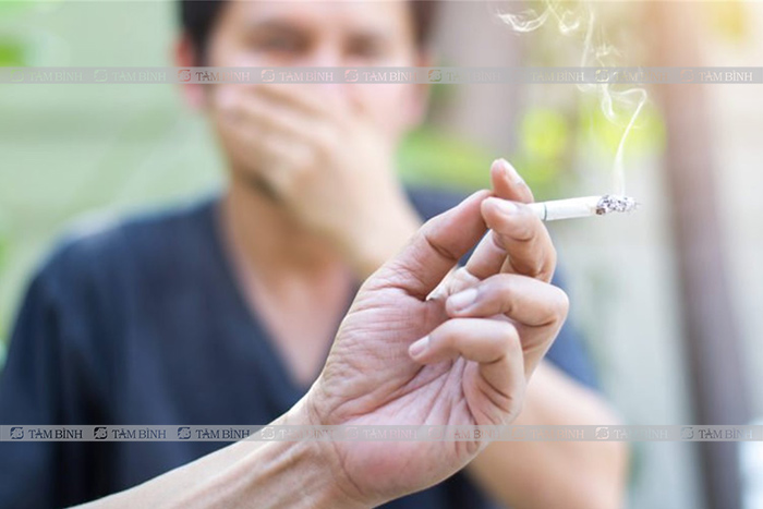 Hút thuốc lá kích thích hình thành mô sẹo tại gan