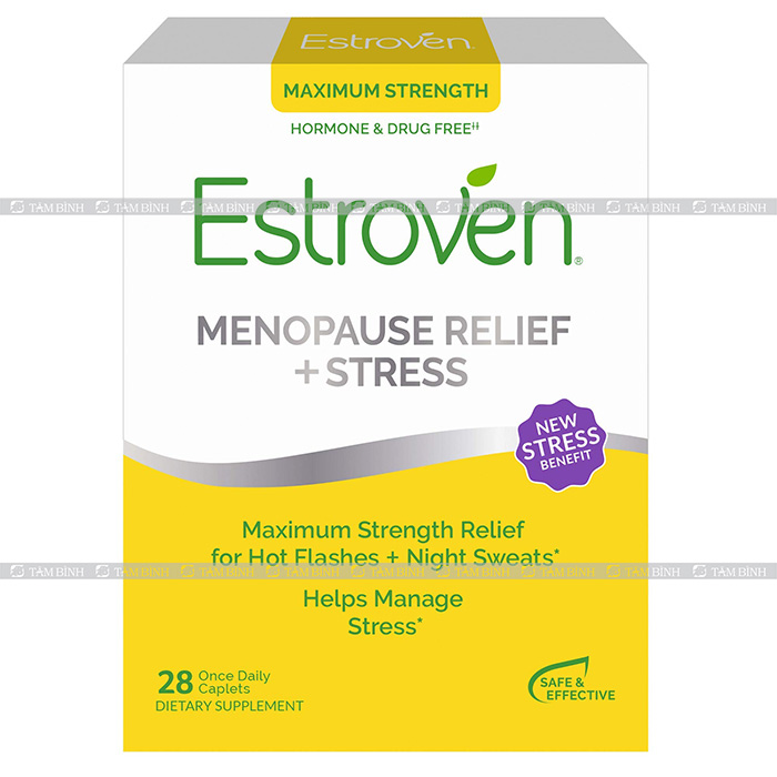 Thuốc Estrogen
