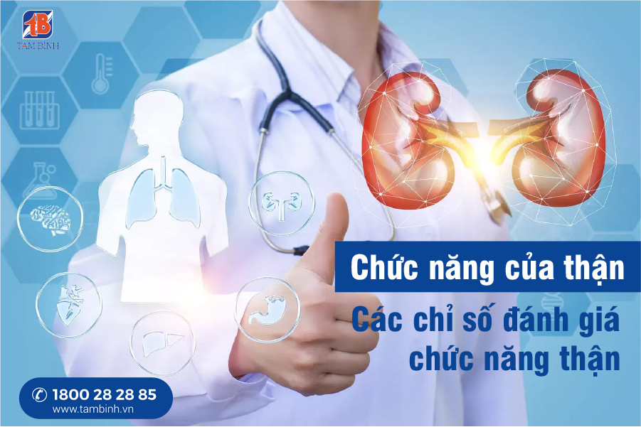 chức năng thận