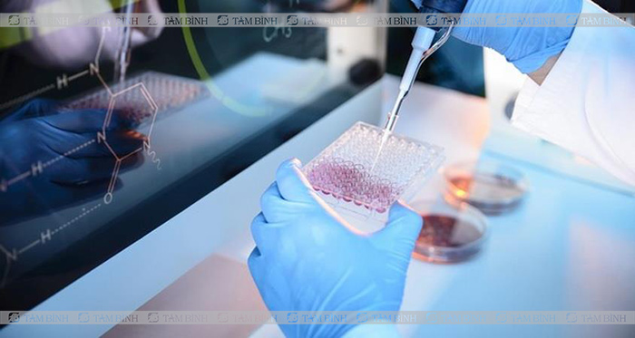 Thu thập, phân tách và nuôi cấy tế bào gốc